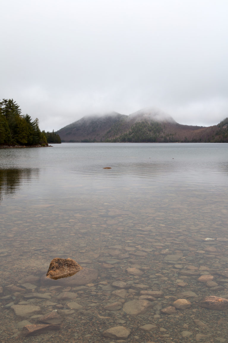 Calm Pond on Overcast Morning