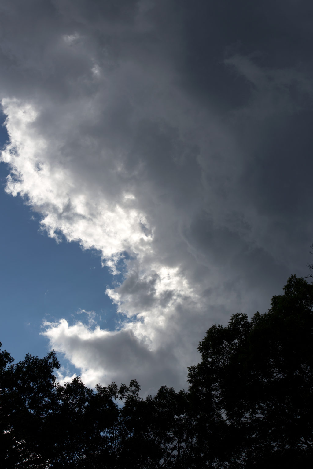 Summer Clouds in Sky