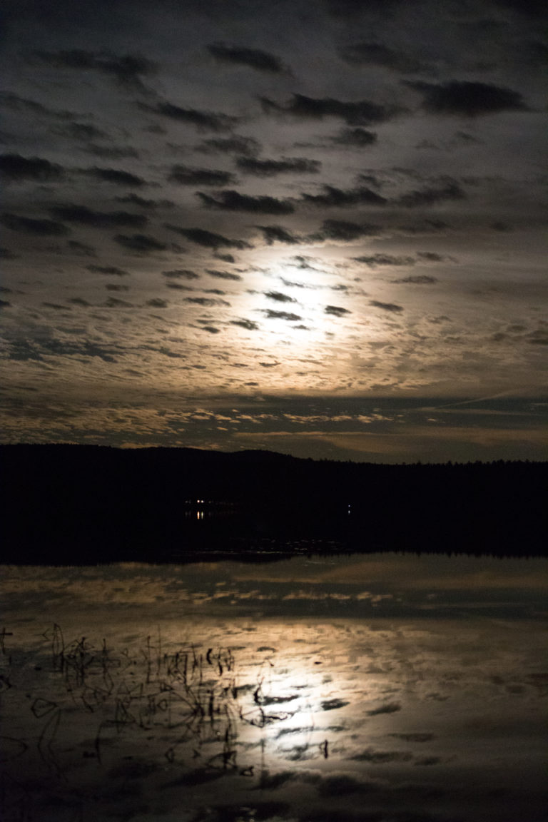 Spooky Moonlit Night