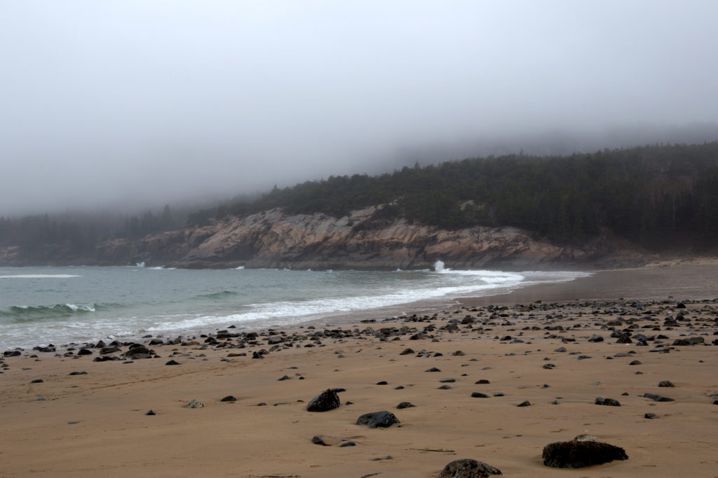 Foggy Beach