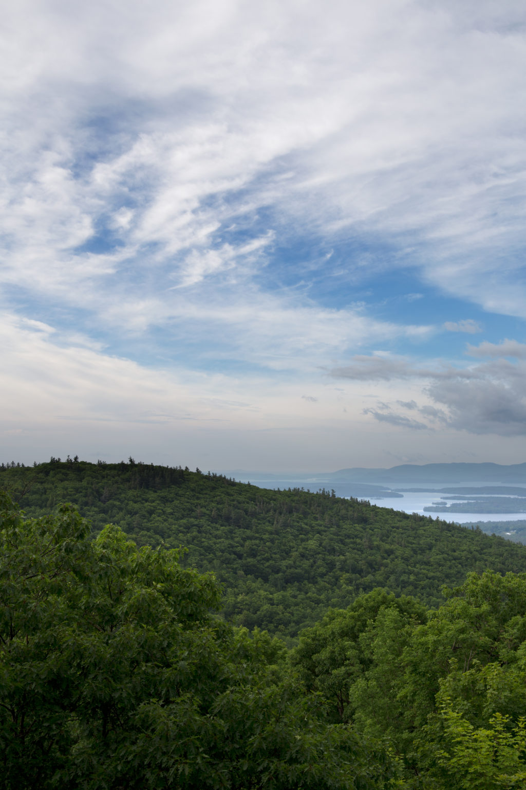 Lush Green Forest Under Cloudy Sky