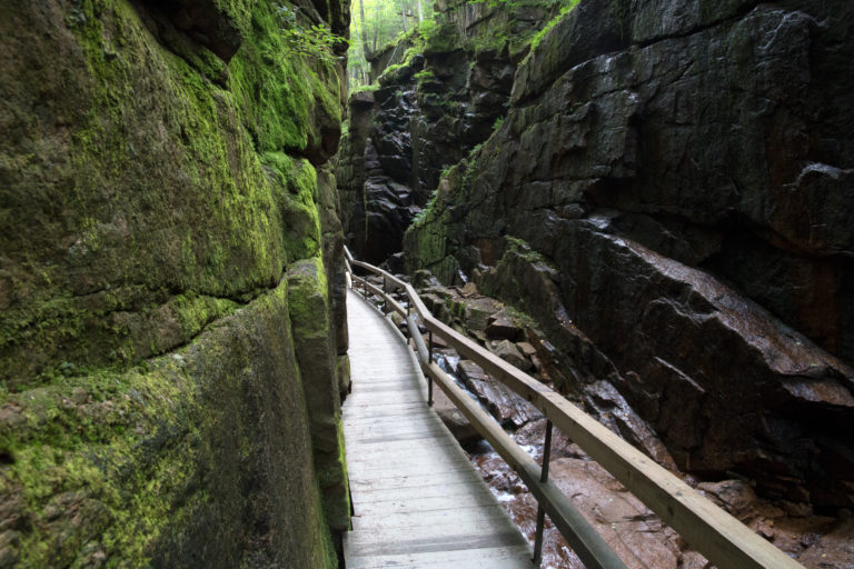 Wooden Walkway in Gorge