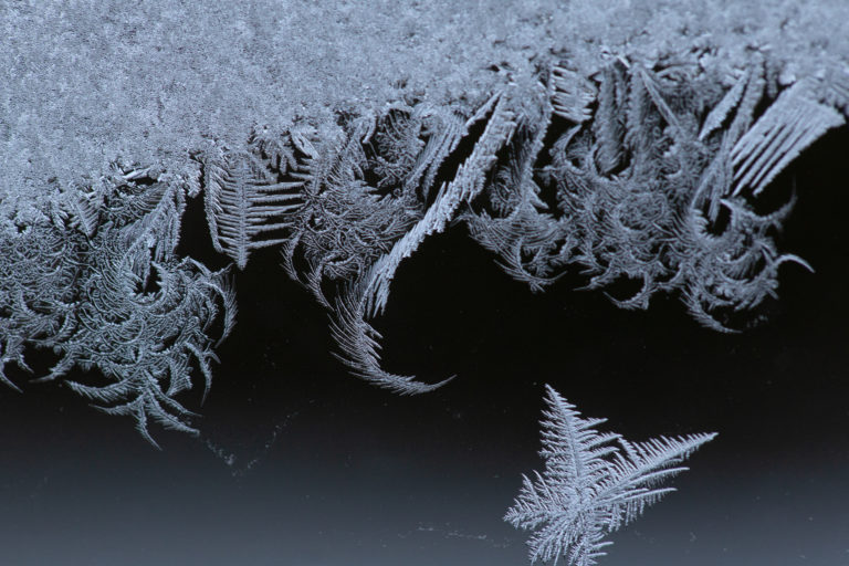 White Frost on a Dark Background