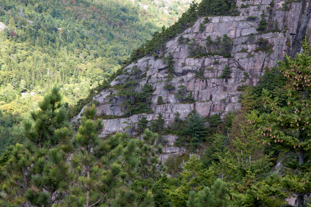 Rocky Mountainside