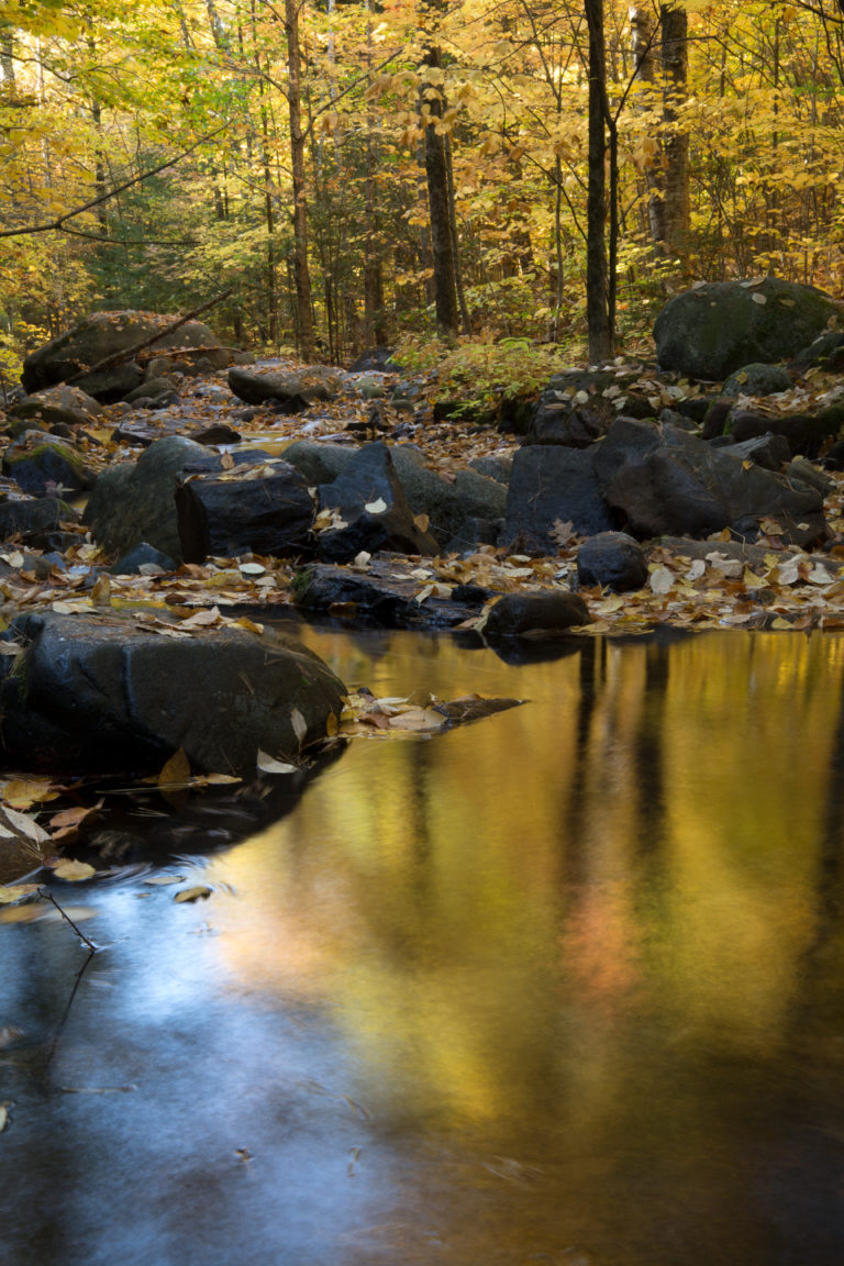 Golden Fall Reflections