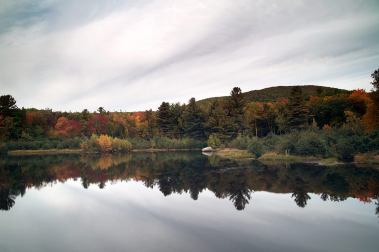 Still Pond Reflections