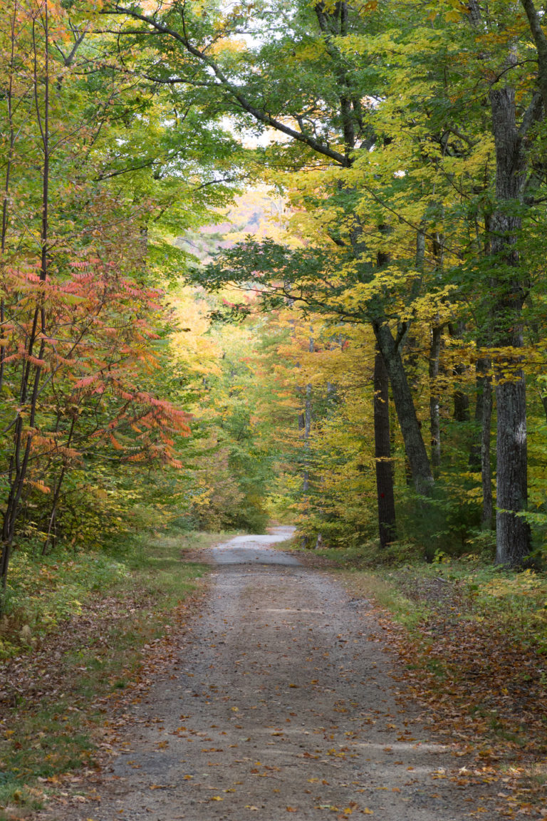 Autumn Country Road