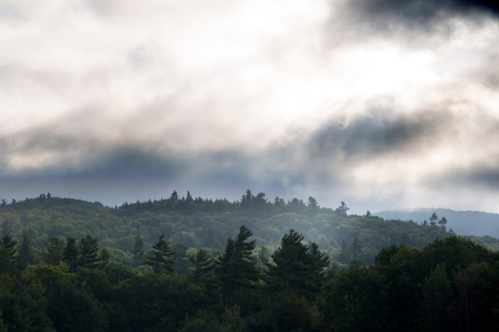 Misty Landscape