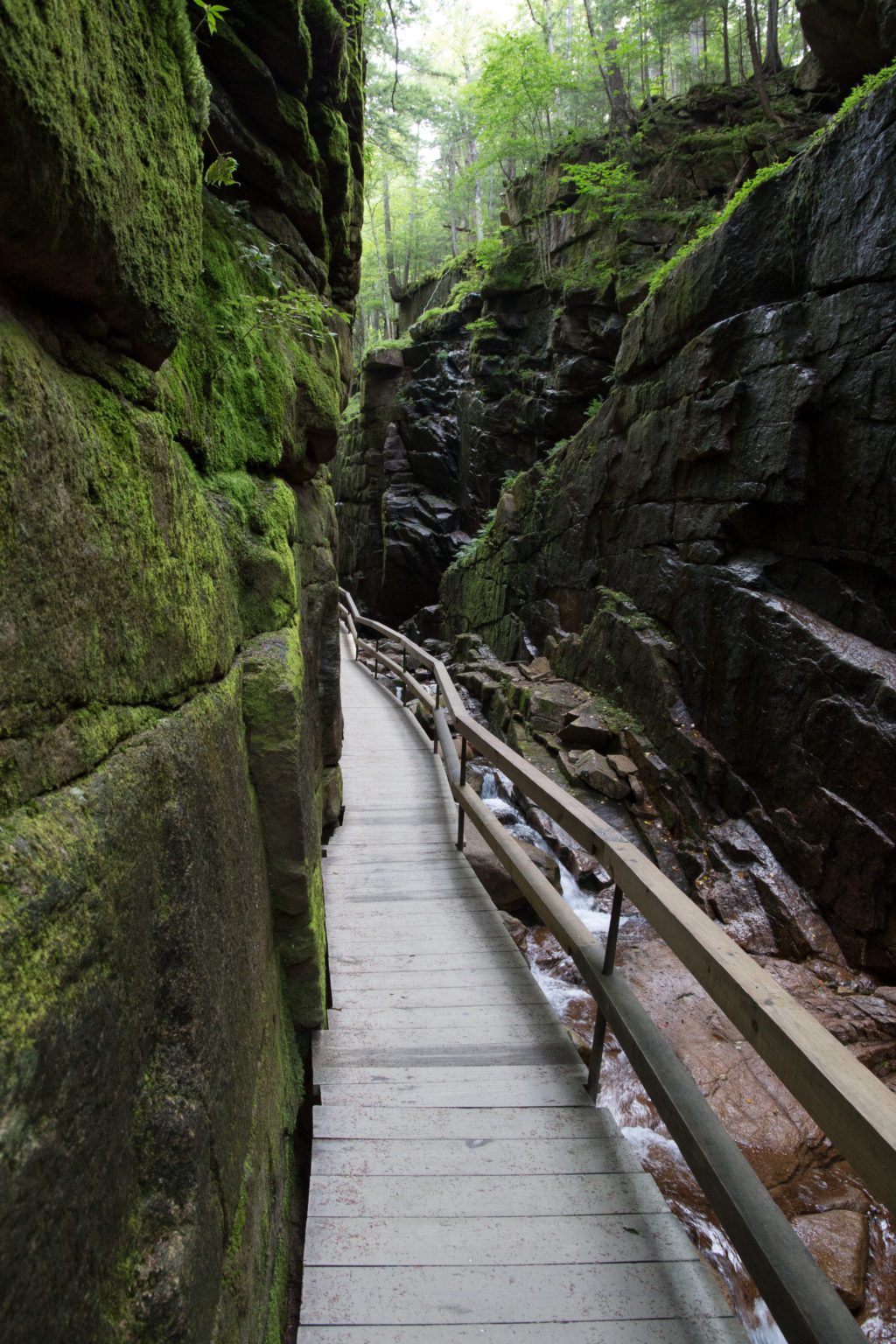 Narrow Boardwalk Along Mossy Cliff Walls