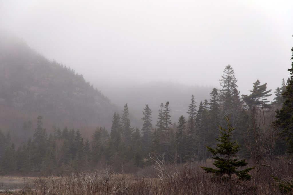 Thick Fog in the Valley