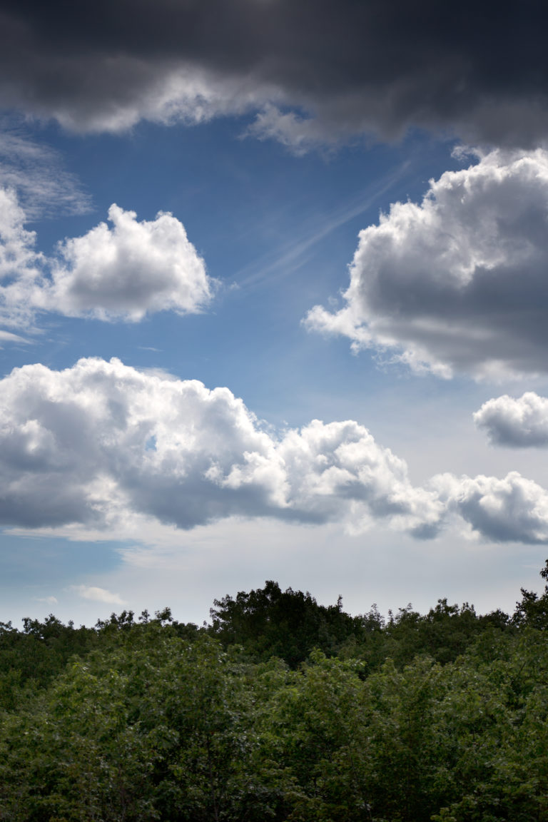 Bright Summer Sky Over Trees