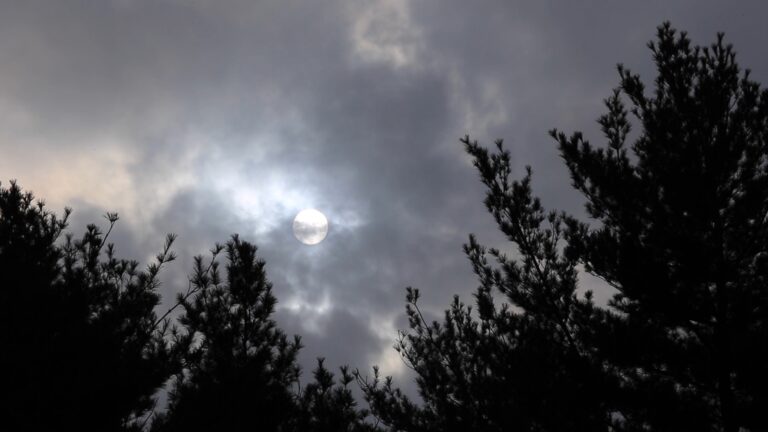 Moody Sun and Clouds Through Trees