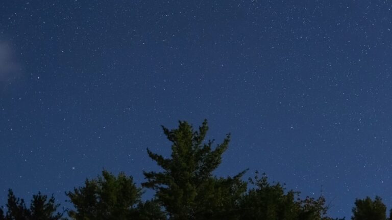 Northern Night Sky Before Dawn