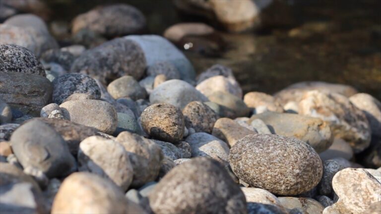 Rocky River Shoreline