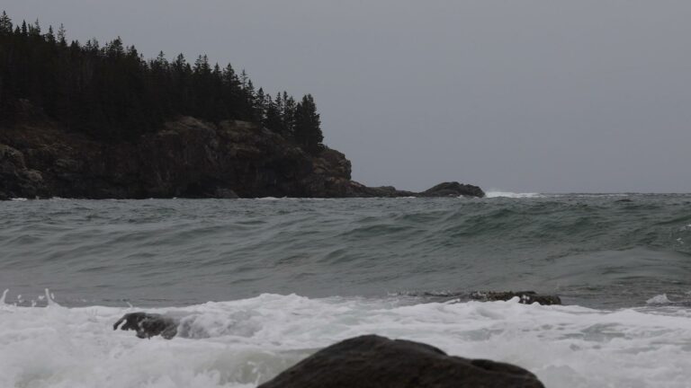 Rugged Ocean Coast and Waves