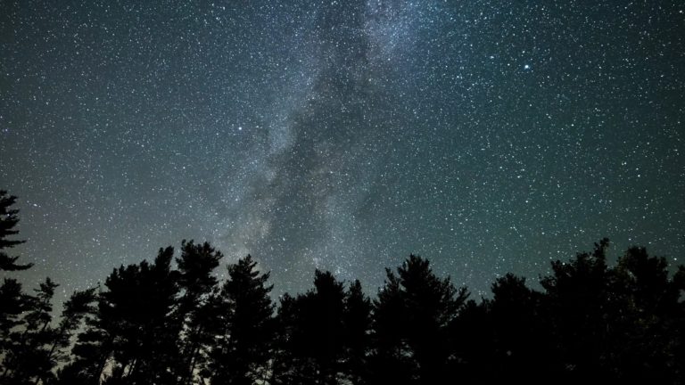 Milky Way Pan Over Tree Silhouettes